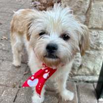 Thumbnail photo of Tinker Bell #1