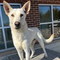 Thumbnail photo of Kaido #1