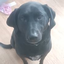 Thumbnail photo of Bryson #3