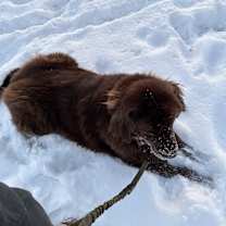 Thumbnail photo of Donny #4