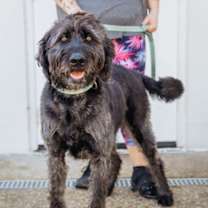 Thumbnail photo of Wendell #3