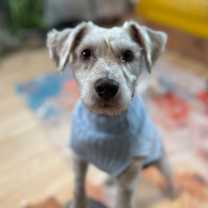 Thumbnail photo of Jasper the Jolly Gentleman #1