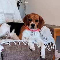 Thumbnail photo of Sparkle #1