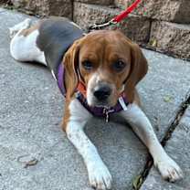 Thumbnail photo of Sparkle #2