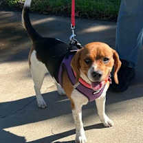 Thumbnail photo of Sparkle #3