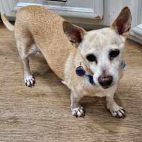 Thumbnail photo of Sam #3