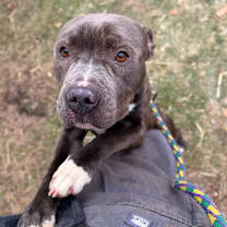 Thumbnail photo of Missed Opportunity #1