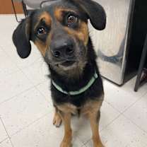 Thumbnail photo of Mandatory Fun #2