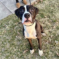 Thumbnail photo of Rio #2