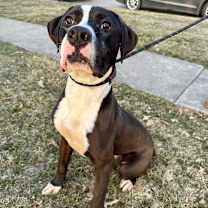 Thumbnail photo of Rio #3