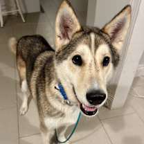 Thumbnail photo of Keesha #2