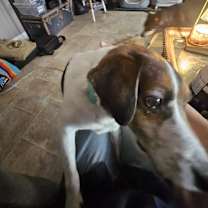 Thumbnail photo of Hanneman #4