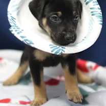 Thumbnail photo of Countdown #1