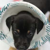 Thumbnail photo of Countdown #2