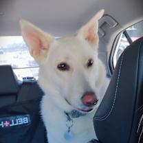 Thumbnail photo of Ghost #1