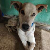 Thumbnail photo of Ricky #1