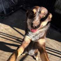 Thumbnail photo of Carly #3