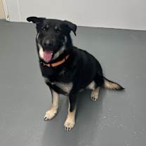 Thumbnail photo of Bear #2