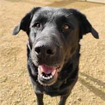 Thumbnail photo of Cinder #4