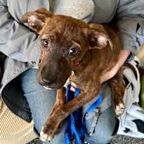 Thumbnail photo of China #1