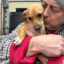 Thumbnail photo of Nox #1