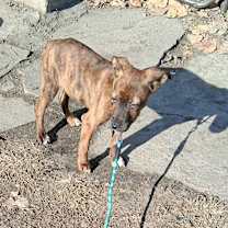 Thumbnail photo of China #2