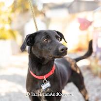 Thumbnail photo of Monet #3