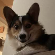 Thumbnail photo of Beans #2