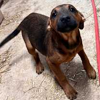 Thumbnail photo of Gemma #2