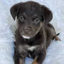 Thumbnail photo of Ultra Sound #4