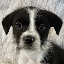 Thumbnail photo of Ultra Modern #3