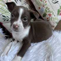 Thumbnail photo of Ultra Violet #3