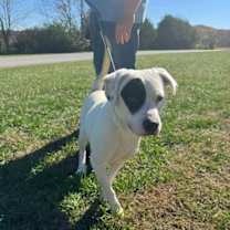 Thumbnail photo of Pete #2