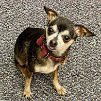 Thumbnail photo of Jonah #2