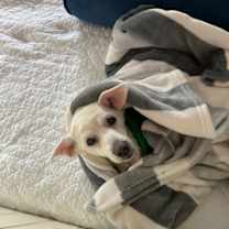 Thumbnail photo of Mimi #4