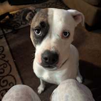 Thumbnail photo of Marble #2