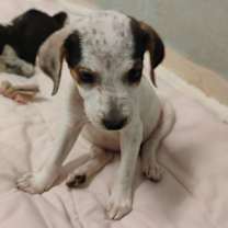 Thumbnail photo of Arlenne 7469 #2