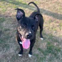 Thumbnail photo of Torres #1