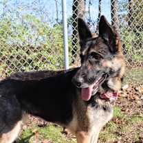 Thumbnail photo of Margo #4