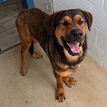 Thumbnail photo of Jordie #2