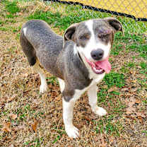 Thumbnail photo of Stella #1