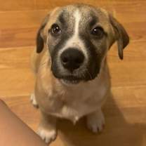 Thumbnail photo of Kansas #1