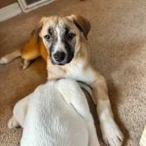 Thumbnail photo of Kansas #2