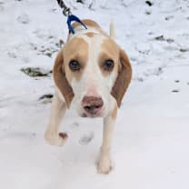 Thumbnail photo of Kingston #4