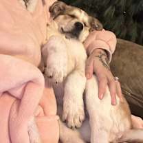 Thumbnail photo of Montana #4