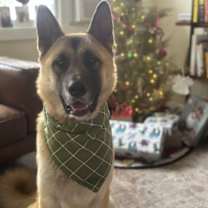 Thumbnail photo of Oso #3