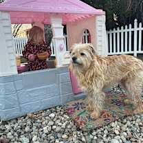 Thumbnail photo of Moby #3