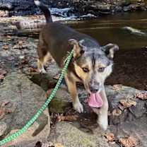 Thumbnail photo of Hudson #2