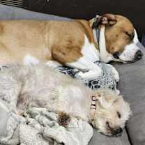 Thumbnail photo of Mr. Baby #4