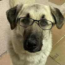 Thumbnail photo of Charlie looking for my family #1